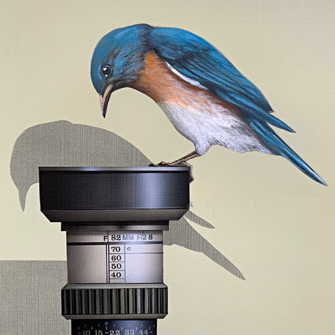 Detail of Trompe l'oeil painting of a bluebird perched atop a camera looking into the lens pointing up, which is sitting atop a box on a tabletop, with a crisp shadow projected on the beige wall behind by James Carter at Cottage Curator - Sperryville VA Art Gallery
