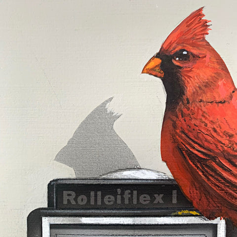 Detail of trompe l'oeil painting of cardinal sitting atop an old Rolleiflex camera and book by James Carter at Cottage Curator - Sperryville VA Art Gallery