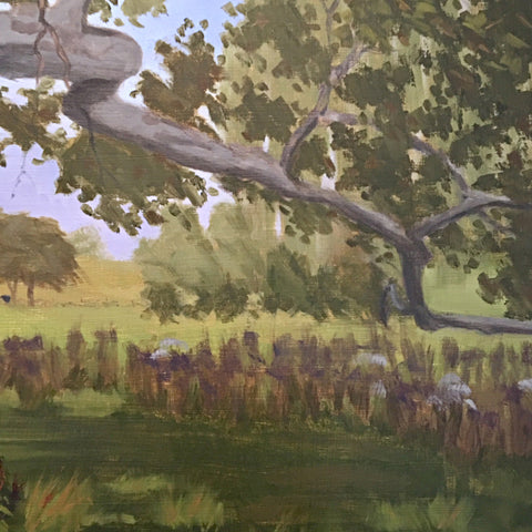 Sycamore Sentry