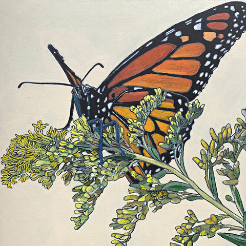Detail of Four painting suite of butterflies - Great Spangled Fritillary, Monarch, Spicebush Swallowtail, Tiger Swallowtail - by Frances Coates at Cottage Curator - Sperryville VA Art Gallery