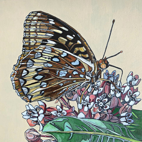 Detail of Four painting suite of butterflies - Great Spangled Fritillary, Monarch, Spicebush Swallowtail, Tiger Swallowtail - by Frances Coates at Cottage Curator - Sperryville VA Art Gallery