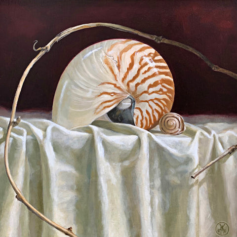 Still life painting of a nautilus shell on white table cloth with red background and grapevine arching over the shell by Davette Leonard at Cottage Curator - Sperryville VA Art Gallery
