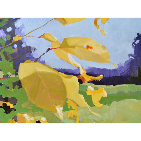 Yellow Leaves
